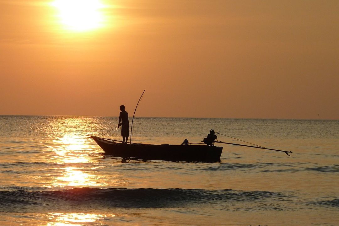 fishing on ocean at sunset