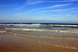 New Smyrna Beach sand