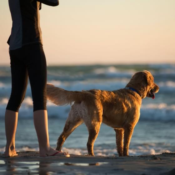 WOman and dog looking out at the ocean